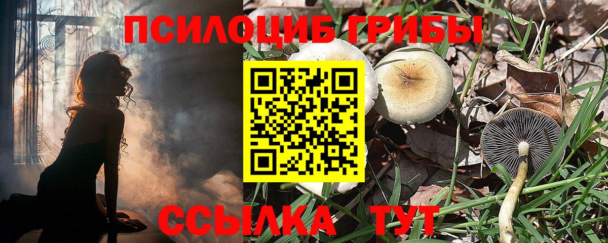 Галлюциногенные грибы мухоморы Изобильный